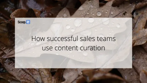 How Successful Sales Teams Are Using Content Curation