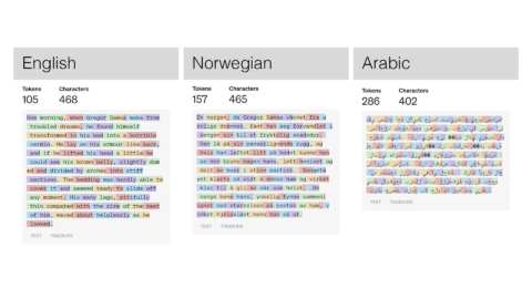 Is OpenAI imposing a Token Tax on Non-English Languages?