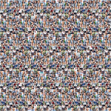 Overabundance of Disorganized and Unverified Information (search is broken)